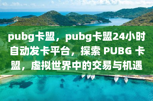 pubg卡盟，pubg卡盟24小时自动发卡平台，探索 PUBG 卡盟，虚拟世界中的交易与机遇