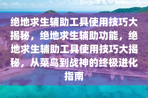 绝地求生辅助工具使用技巧大揭秘，绝地求生辅助功能，绝地求生辅助工具使用技巧大揭秘，从菜鸟到战神的终极进化指南