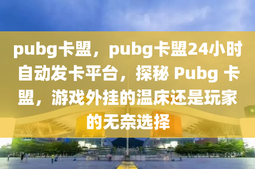 pubg卡盟，pubg卡盟24小时自动发卡平台，探秘 Pubg 卡盟，游戏外挂的温床还是玩家的无奈选择