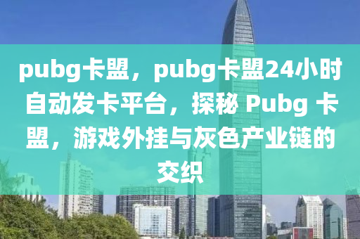pubg卡盟，pubg卡盟24小时自动发卡平台，探秘 Pubg 卡盟，游戏外挂与灰色产业链的交织