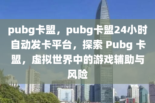pubg卡盟，pubg卡盟24小时自动发卡平台，探索 Pubg 卡盟，虚拟世界中的游戏辅助与风险