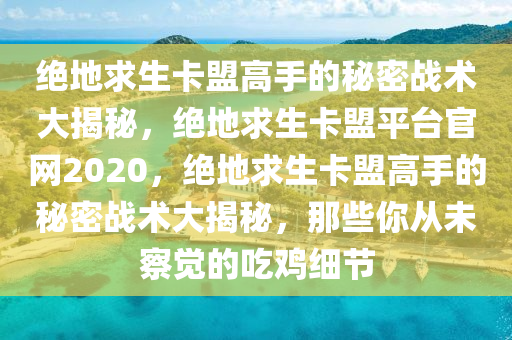 绝地求生卡盟高手的秘密战术大揭秘，绝地求生卡盟平台官网2020，绝地求生卡盟高手的秘密战术大揭秘，那些你从未察觉的吃鸡细节