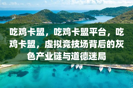 吃鸡卡盟，吃鸡卡盟平台，吃鸡卡盟，虚拟竞技场背后的灰色产业链与道德迷局