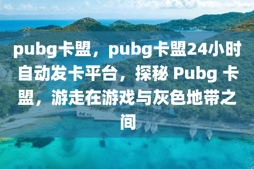 pubg卡盟，pubg卡盟24小时自动发卡平台，探秘 Pubg 卡盟，游走在游戏与灰色地带之间