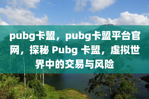 pubg卡盟，pubg卡盟平台官网，探秘 Pubg 卡盟，虚拟世界中的交易与风险