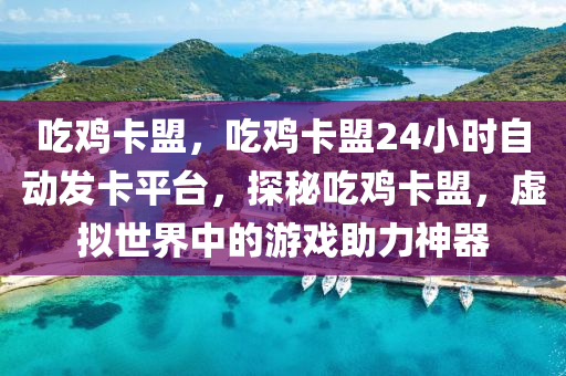 吃鸡卡盟，吃鸡卡盟24小时自动发卡平台，探秘吃鸡卡盟，虚拟世界中的游戏助力神器