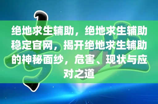 绝地求生辅助，绝地求生辅助稳定官网，揭开绝地求生辅助的神秘面纱，危害、现状与应对之道