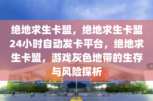 绝地求生卡盟，绝地求生卡盟24小时自动发卡平台，绝地求生卡盟，游戏灰色地带的生存与风险探析