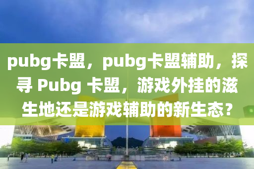 pubg卡盟，pubg卡盟辅助，探寻 Pubg 卡盟，游戏外挂的滋生地还是游戏辅助的新生态？