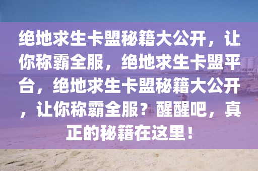 绝地求生卡盟秘籍大公开，让你称霸全服，绝地求生卡盟平台，绝地求生卡盟秘籍大公开，让你称霸全服？醒醒吧，真正的秘籍在这里！