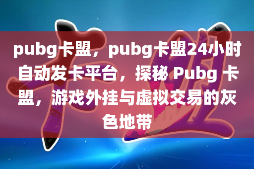 pubg卡盟，pubg卡盟24小时自动发卡平台，探秘 Pubg 卡盟，游戏外挂与虚拟交易的灰色地带