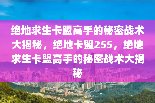 绝地求生卡盟高手的秘密战术大揭秘，绝地卡盟255，绝地求生卡盟高手的秘密战术大揭秘