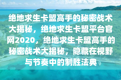 绝地求生卡盟高手的秘密战术大揭秘，绝地求生卡盟平台官网2020，绝地求生卡盟高手的秘密战术大揭秘，隐藏在视野与节奏中的制胜法典