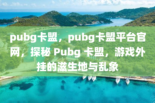 pubg卡盟，pubg卡盟平台官网，探秘 Pubg 卡盟，游戏外挂的滋生地与乱象