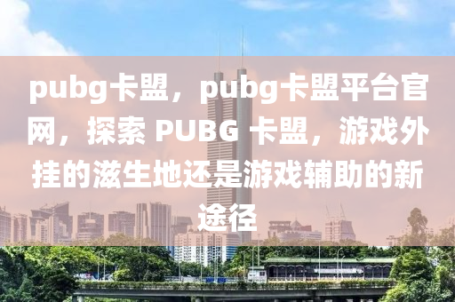 pubg卡盟，pubg卡盟平台官网，探索 PUBG 卡盟，游戏外挂的滋生地还是游戏辅助的新途径