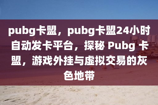 pubg卡盟，pubg卡盟24小时自动发卡平台，探秘 Pubg 卡盟，游戏外挂与虚拟交易的灰色地带