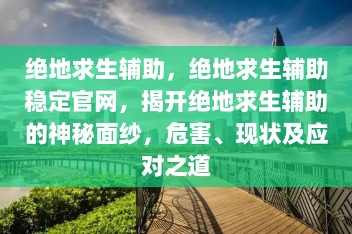 绝地求生辅助，绝地求生辅助稳定官网，揭开绝地求生辅助的神秘面纱，危害、现状及应对之道