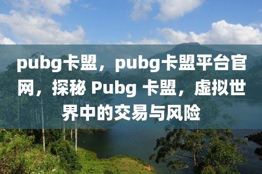 pubg卡盟，pubg卡盟平台官网，探秘 Pubg 卡盟，虚拟世界中的交易与风险
