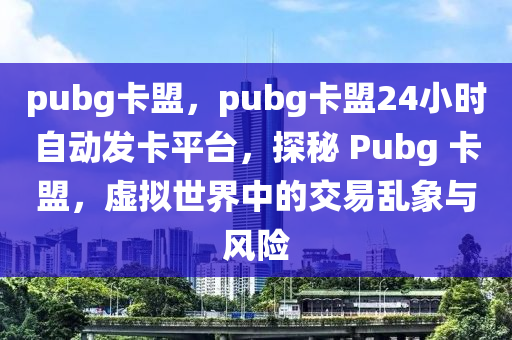 pubg卡盟，pubg卡盟24小时自动发卡平台，探秘 Pubg 卡盟，虚拟世界中的交易乱象与风险