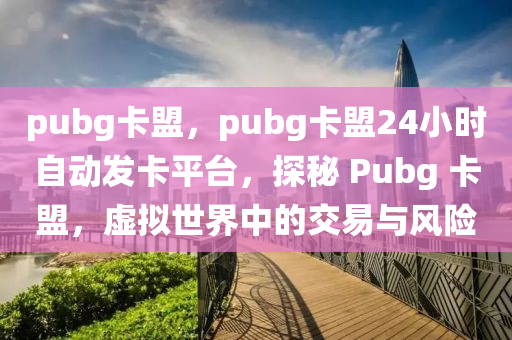 pubg卡盟，pubg卡盟24小时自动发卡平台，探秘 Pubg 卡盟，虚拟世界中的交易与风险