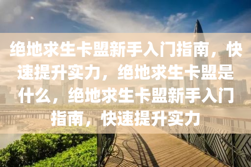 绝地求生卡盟新手入门指南，快速提升实力，绝地求生卡盟是什么，绝地求生卡盟新手入门指南，快速提升实力