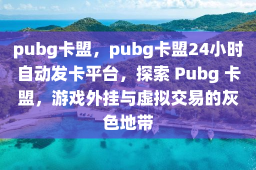 pubg卡盟，pubg卡盟24小时自动发卡平台，探索 Pubg 卡盟，游戏外挂与虚拟交易的灰色地带