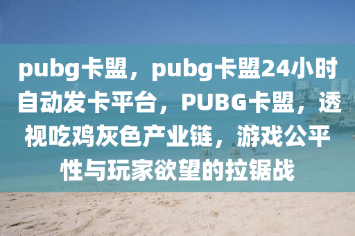pubg卡盟，pubg卡盟24小时自动发卡平台，PUBG卡盟，透视吃鸡灰色产业链，游戏公平性与玩家欲望的拉锯战