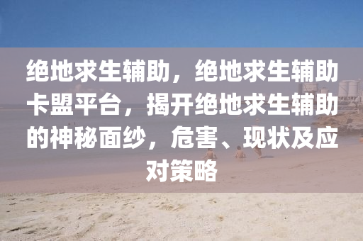 绝地求生辅助，绝地求生辅助卡盟平台，揭开绝地求生辅助的神秘面纱，危害、现状及应对策略