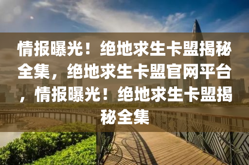 情报曝光！绝地求生卡盟揭秘全集，绝地求生卡盟官网平台，情报曝光！绝地求生卡盟揭秘全集