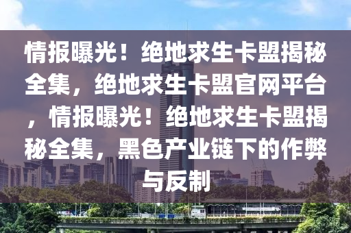 情报曝光！绝地求生卡盟揭秘全集，绝地求生卡盟官网平台，情报曝光！绝地求生卡盟揭秘全集，黑色产业链下的作弊与反制