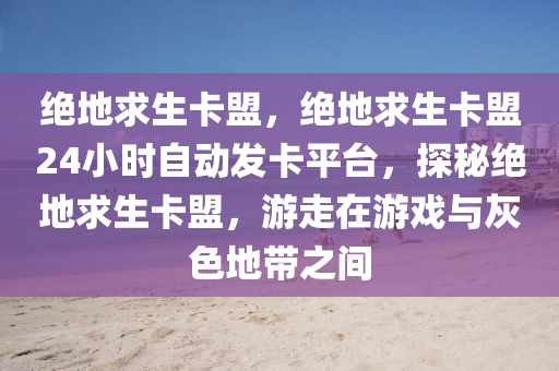 绝地求生卡盟，绝地求生卡盟24小时自动发卡平台，探秘绝地求生卡盟，游走在游戏与灰色地带之间