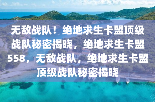 无敌战队！绝地求生卡盟顶级战队秘密揭晓，绝地求生卡盟558，无敌战队，绝地求生卡盟顶级战队秘密揭晓