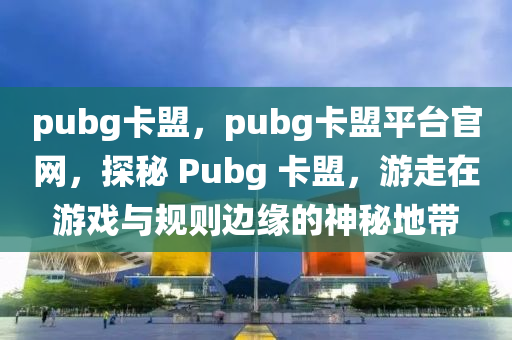 pubg卡盟，pubg卡盟平台官网，探秘 Pubg 卡盟，游走在游戏与规则边缘的神秘地带