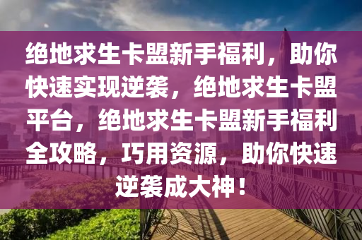 绝地求生卡盟新手福利，助你快速实现逆袭，绝地求生卡盟平台，绝地求生卡盟新手福利全攻略，巧用资源，助你快速逆袭成大神！