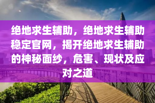 绝地求生辅助，绝地求生辅助稳定官网，揭开绝地求生辅助的神秘面纱，危害、现状及应对之道