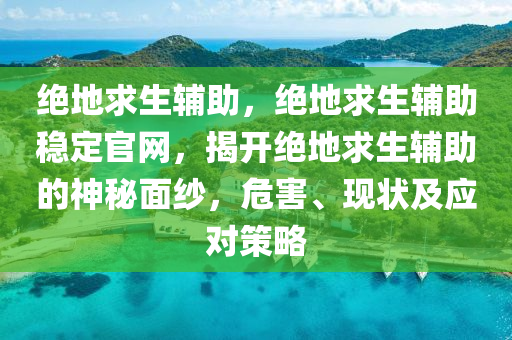 绝地求生辅助，绝地求生辅助稳定官网，揭开绝地求生辅助的神秘面纱，危害、现状及应对策略