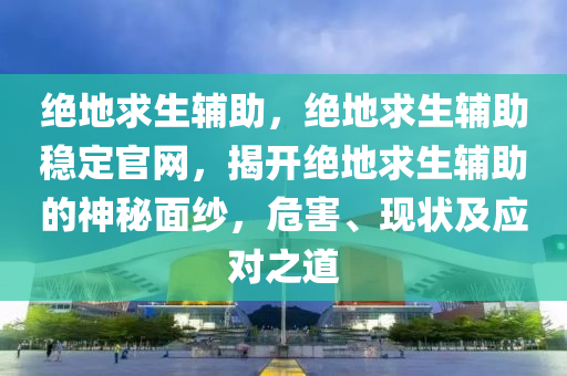 绝地求生辅助，绝地求生辅助稳定官网，揭开绝地求生辅助的神秘面纱，危害、现状及应对之道