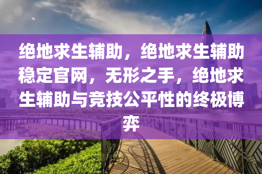 绝地求生辅助，绝地求生辅助稳定官网，无形之手，绝地求生辅助与竞技公平性的终极博弈