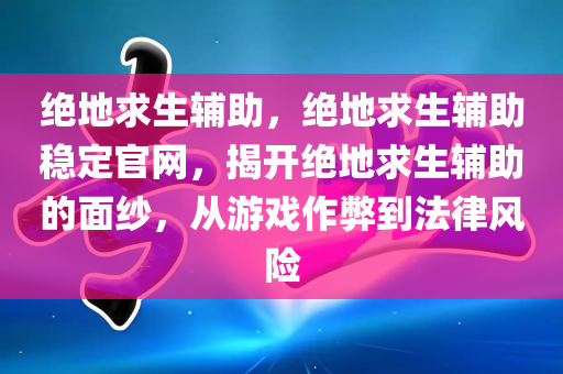 绝地求生辅助，绝地求生辅助稳定官网，揭开绝地求生辅助的面纱，从游戏作弊到法律风险