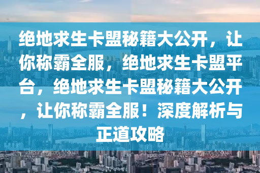 绝地求生卡盟秘籍大公开，让你称霸全服，绝地求生卡盟平台，绝地求生卡盟秘籍大公开，让你称霸全服！深度解析与正道攻略