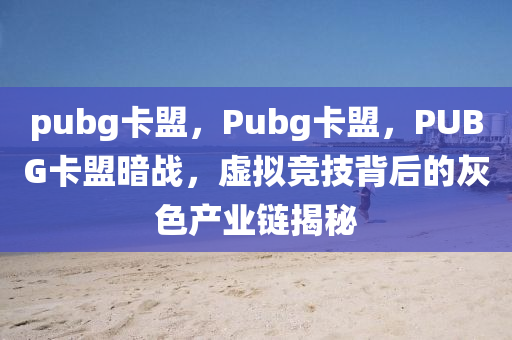 pubg卡盟，Pubg卡盟，PUBG卡盟暗战，虚拟竞技背后的灰色产业链揭秘
