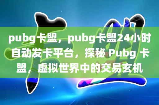 pubg卡盟，pubg卡盟24小时自动发卡平台，探秘 Pubg 卡盟，虚拟世界中的交易玄机