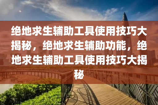 绝地求生辅助工具使用技巧大揭秘，绝地求生辅助功能，绝地求生辅助工具使用技巧大揭秘