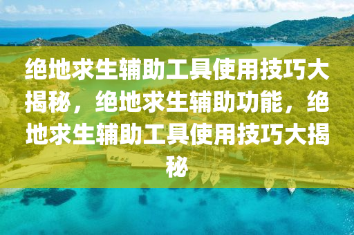 绝地求生辅助工具使用技巧大揭秘，绝地求生辅助功能，绝地求生辅助工具使用技巧大揭秘