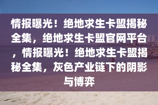 情报曝光！绝地求生卡盟揭秘全集，绝地求生卡盟官网平台，情报曝光！绝地求生卡盟揭秘全集，灰色产业链下的阴影与博弈