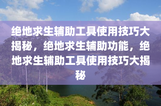 绝地求生辅助工具使用技巧大揭秘，绝地求生辅助功能，绝地求生辅助工具使用技巧大揭秘