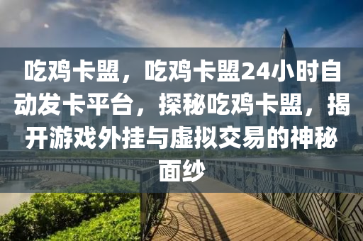 吃鸡卡盟，吃鸡卡盟24小时自动发卡平台，探秘吃鸡卡盟，揭开游戏外挂与虚拟交易的神秘面纱