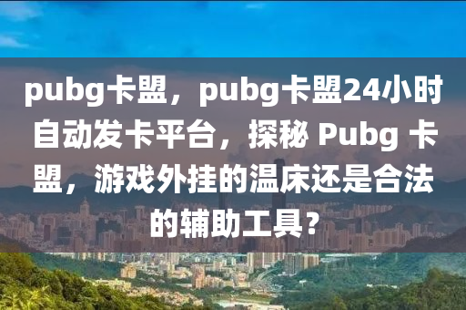 pubg卡盟，pubg卡盟24小时自动发卡平台，探秘 Pubg 卡盟，游戏外挂的温床还是合法的辅助工具？