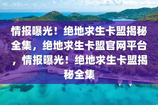 情报曝光！绝地求生卡盟揭秘全集，绝地求生卡盟官网平台，情报曝光！绝地求生卡盟揭秘全集