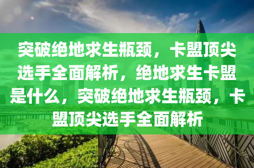 突破绝地求生瓶颈，卡盟顶尖选手全面解析，绝地求生卡盟是什么，突破绝地求生瓶颈，卡盟顶尖选手全面解析